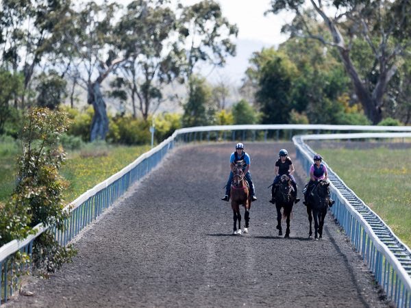 pretraining